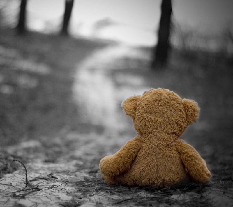 Teddy Bear on Path — Brown