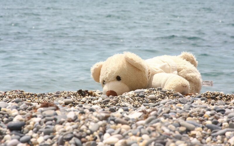 Teddy bear on pebble beach