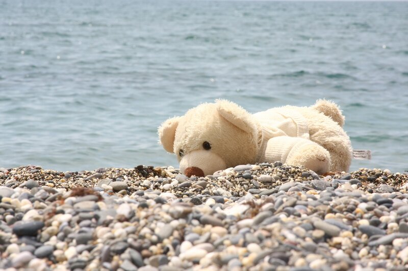 Teddy bear on pebble beach