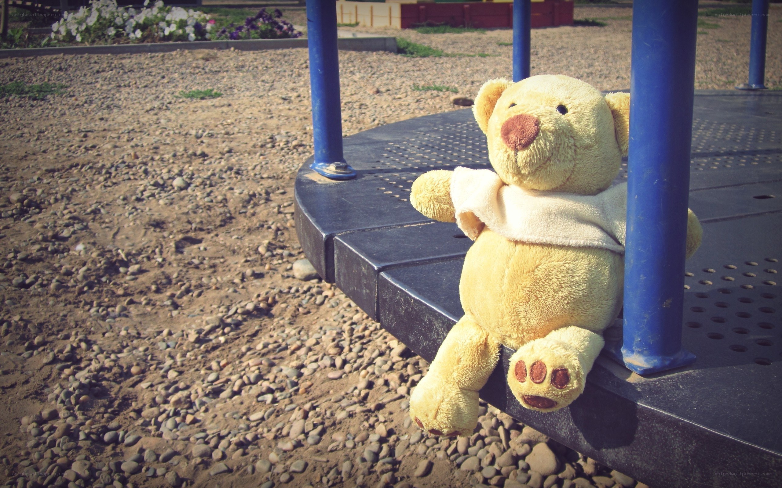 Teddy bear on playground