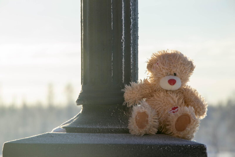 Teddy Bear on Pole