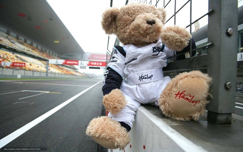 Teddy Bear on Racetrack — Brown