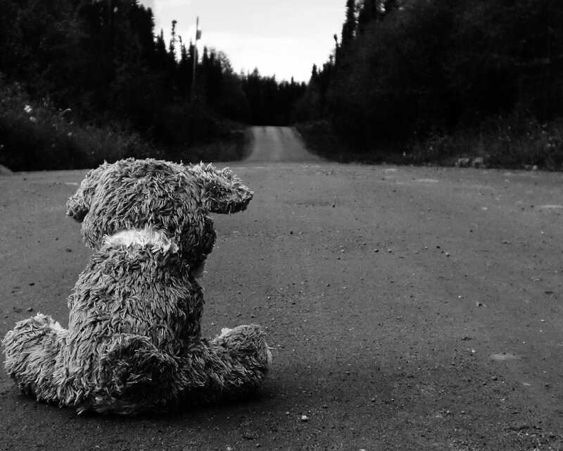 Teddy Bear on Road