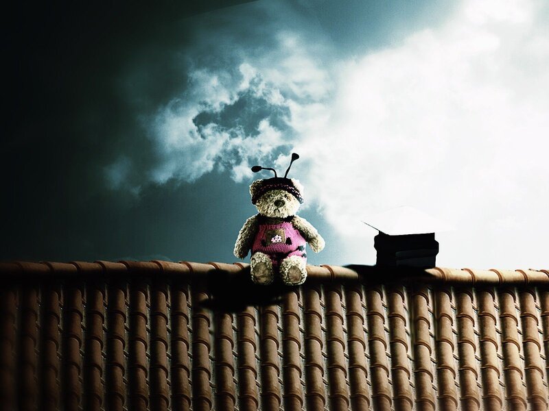 Teddy Bear on Roof