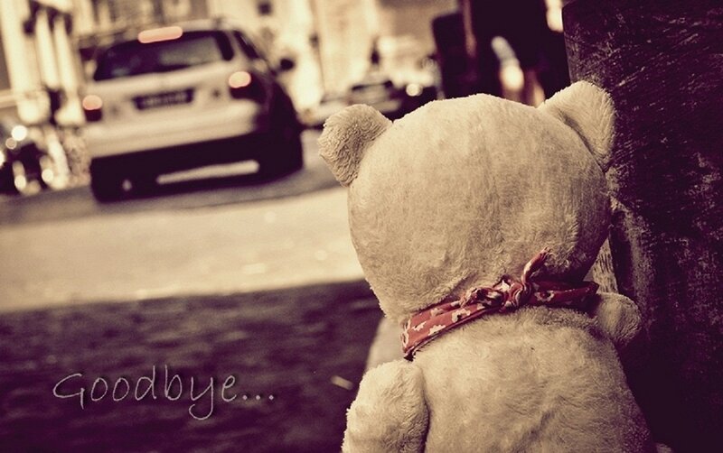 Teddy Bear on Sidewalk