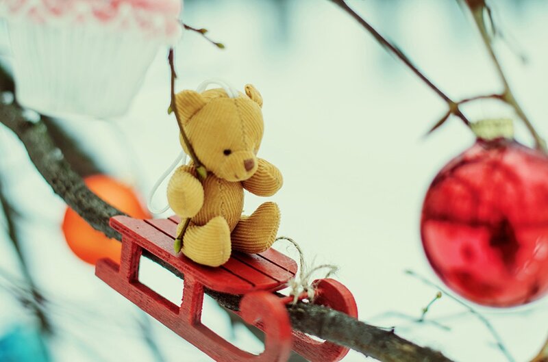 Teddy Bear on Sled