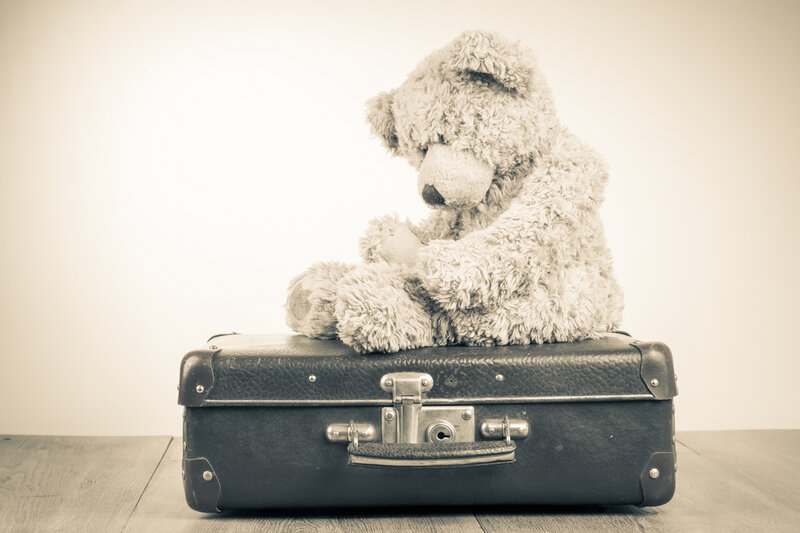 Teddy Bear on Suitcase