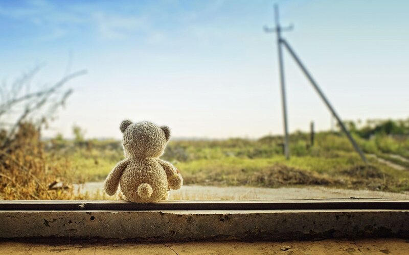 Teddy Bear on Windowsill — Blue