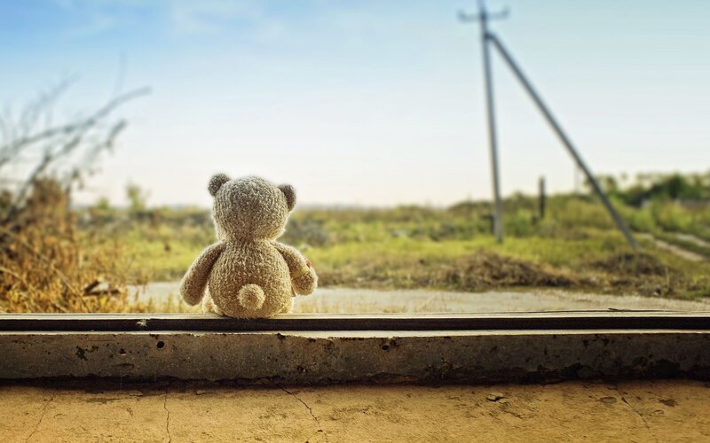 Teddy Bear on Windowsill — Brown