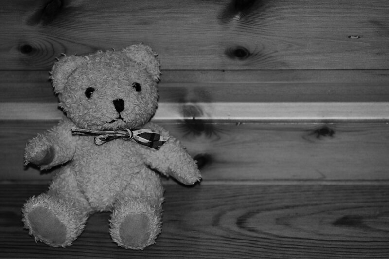 Teddy Bear on Wood