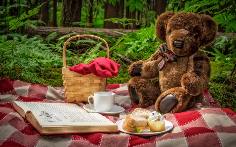 Teddy Bear Picnic — Brown