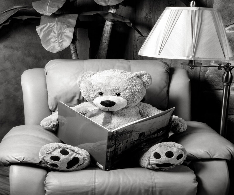 Teddy Bear Reading Book — Black