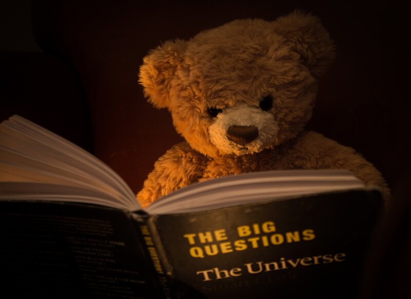 Teddy Bear Reading Book — Brown