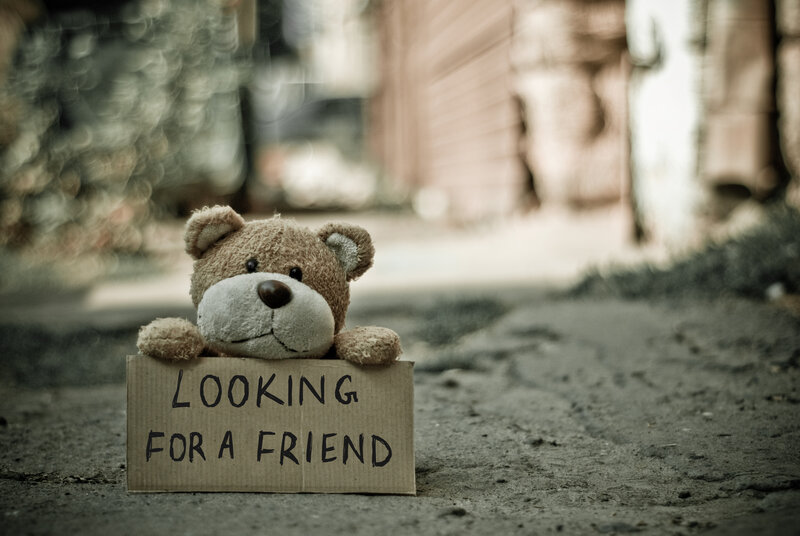 Teddy bear seeking friend