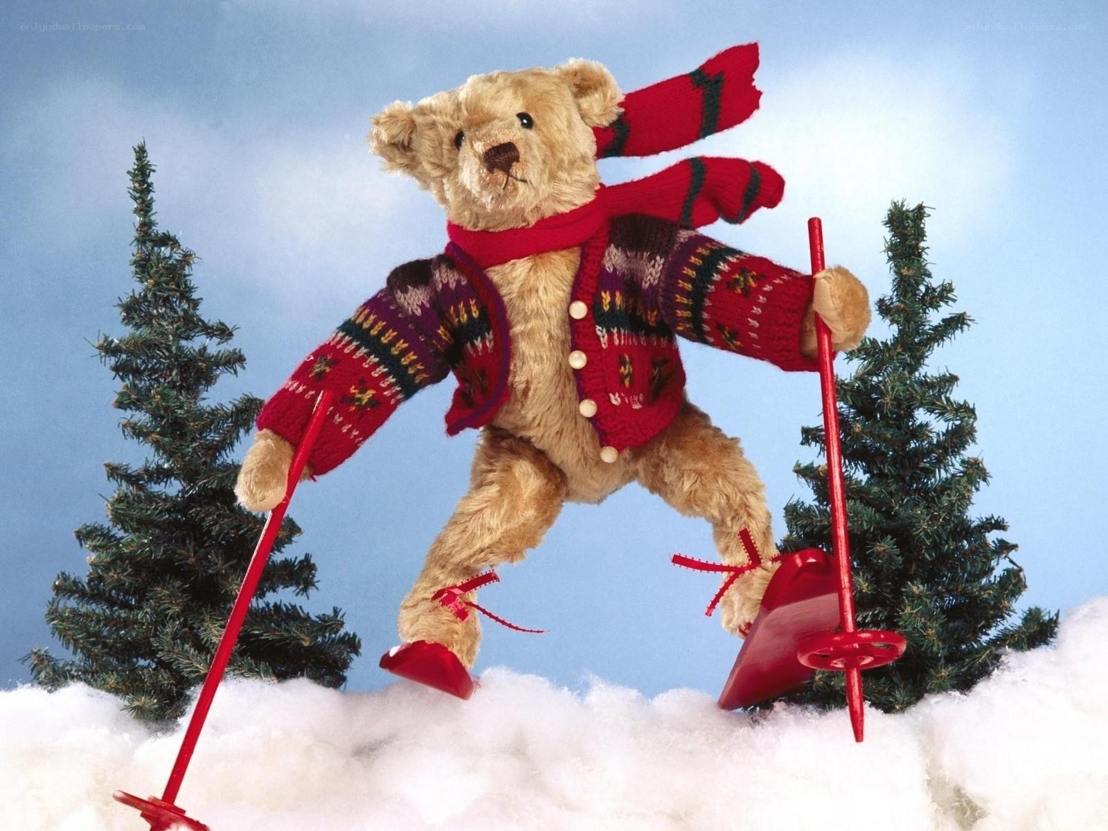 Teddy bear skiing