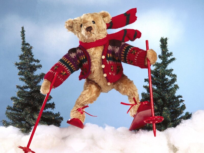 Teddy bear skiing