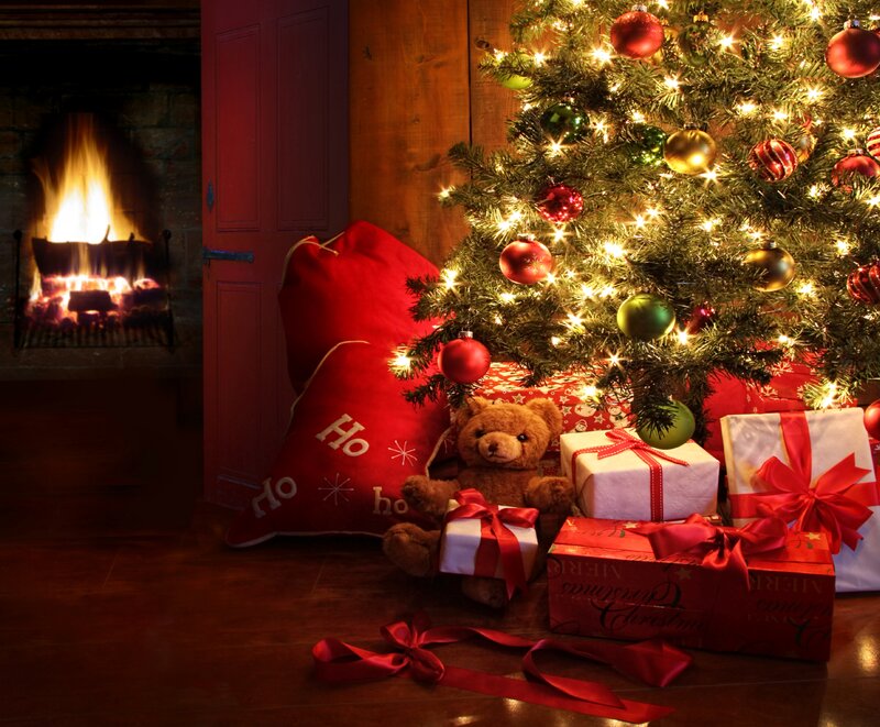 Teddy Bear under Tree