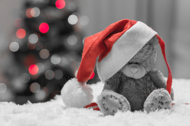 Teddy Bear Wearing Hat — Red, Festive