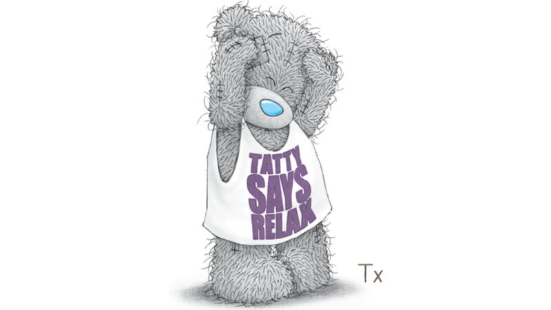 Teddy Bear Wearing Shirt