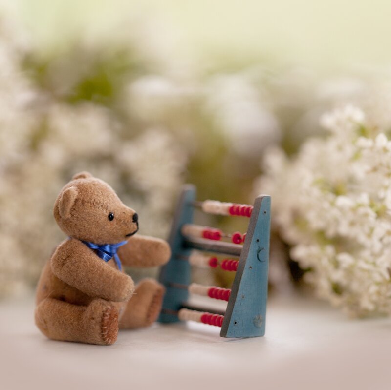 Teddy Bear with Abacus