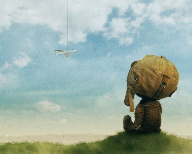 Teddy bear with airplane