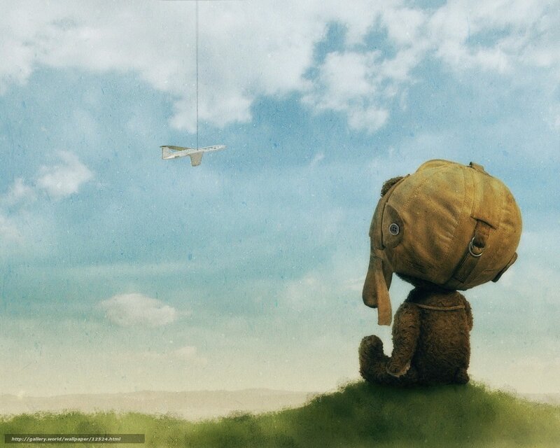 Teddy bear with airplane
