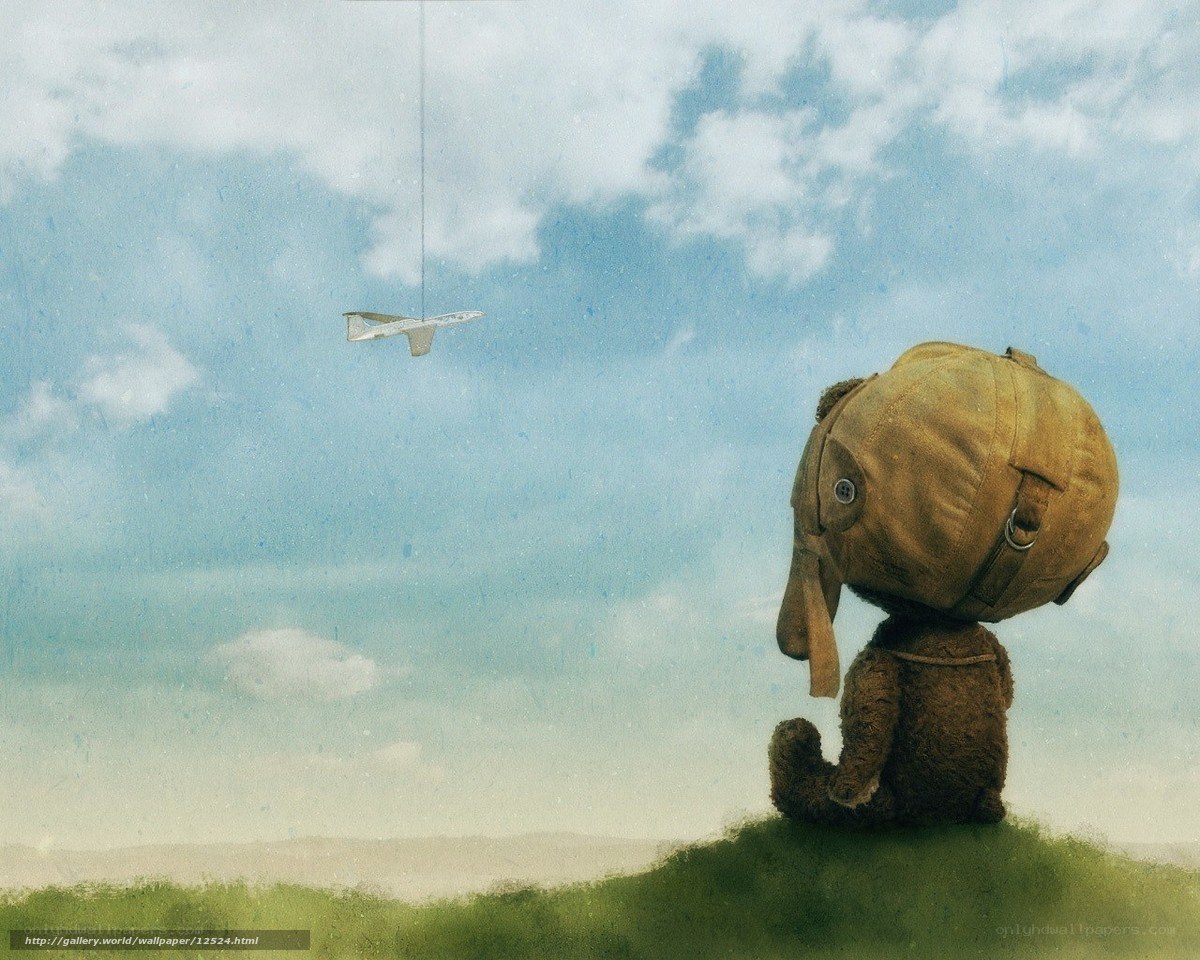 Teddy bear with airplane
