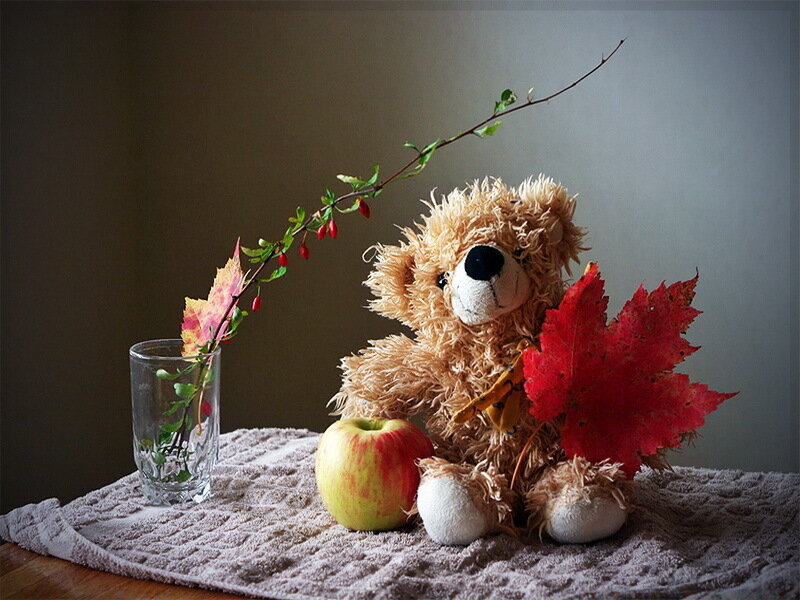 Teddy Bear with Apple