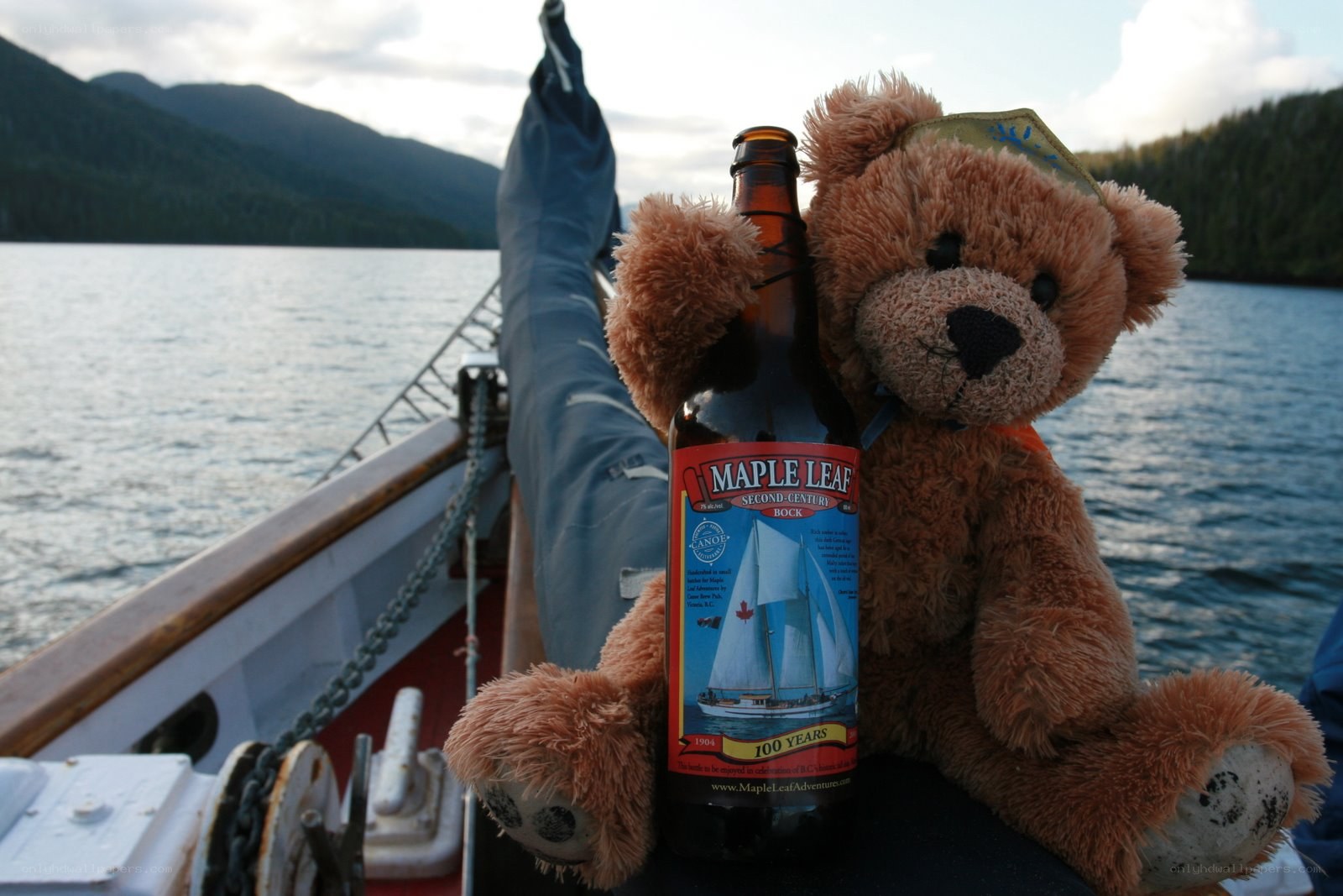 Teddy bear with beer on boat
