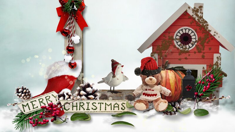 Teddy Bear with Bird — Red