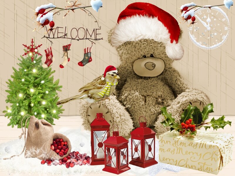 Teddy Bear with Bird