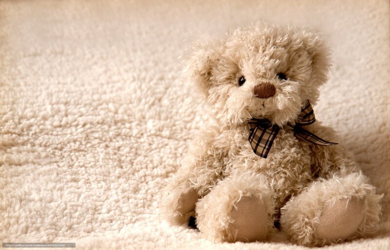 Teddy bear with bow