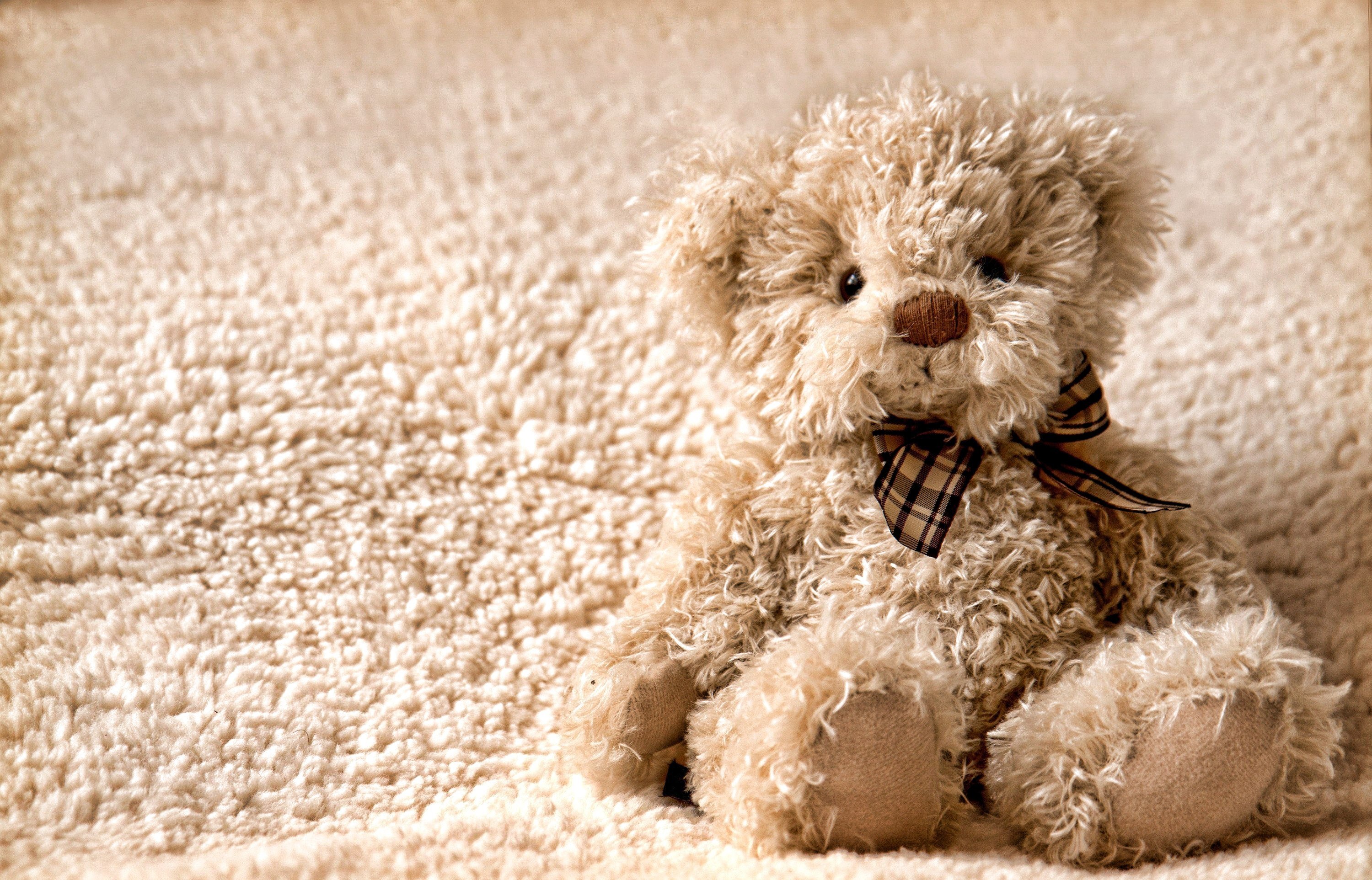 Teddy bear with bow