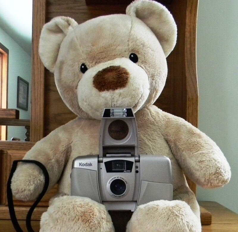 Teddy Bear with Camera