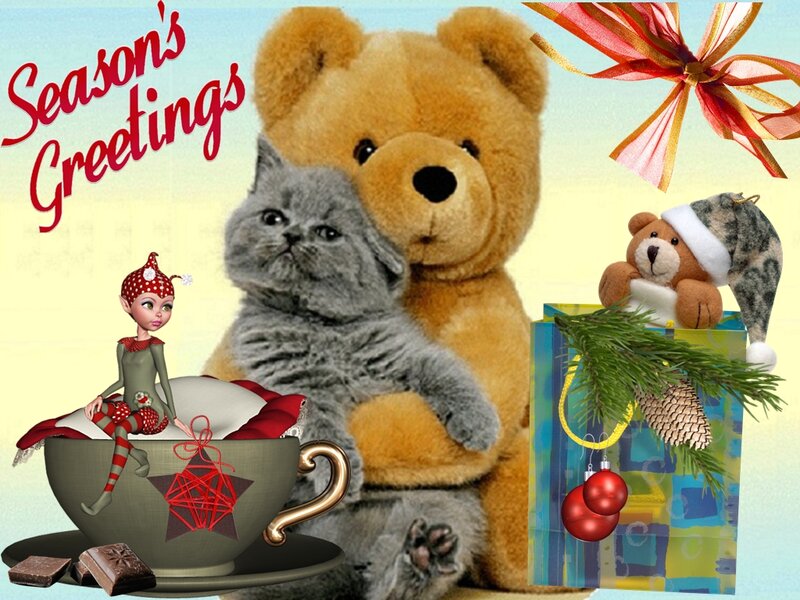 Teddy Bear with Cat
