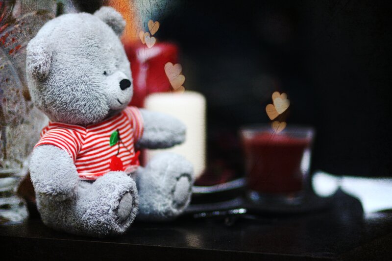 teddy bear with cherry shirt
