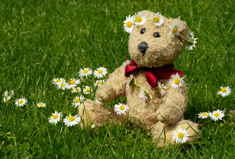 Teddy Bear with Daisies — Green