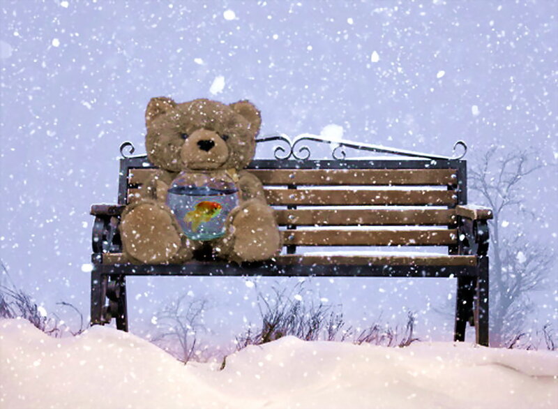 Teddy Bear with Fishbowl
