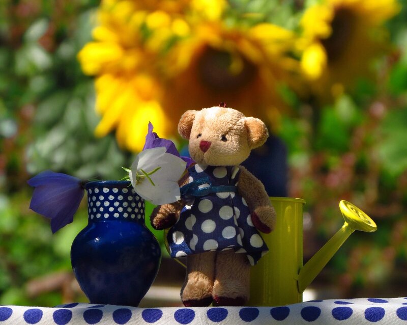 Teddy Bear with Flowers — Blue