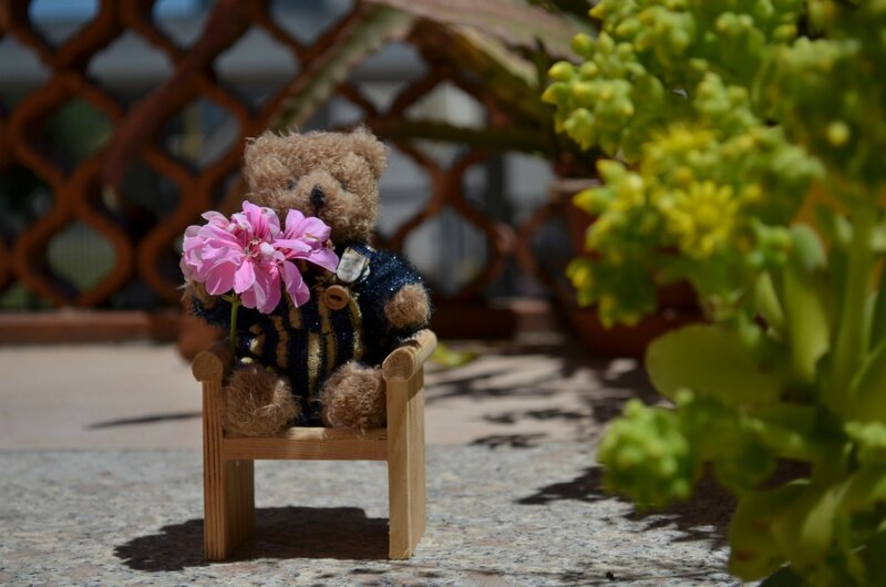Teddy Bear with Flowers — Brown, Serene