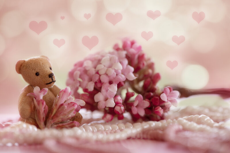 Teddy Bear with Flowers — Pink, Romantic