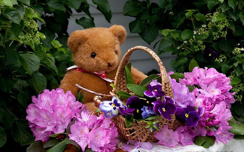 Teddy Bear with Flowers — Purple, Serene, Spring
