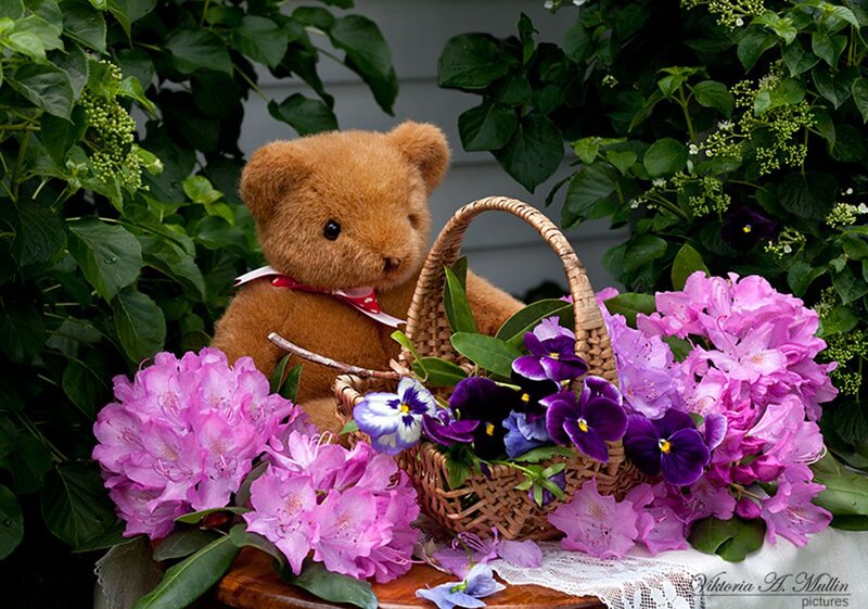 Teddy Bear with Flowers — Purple