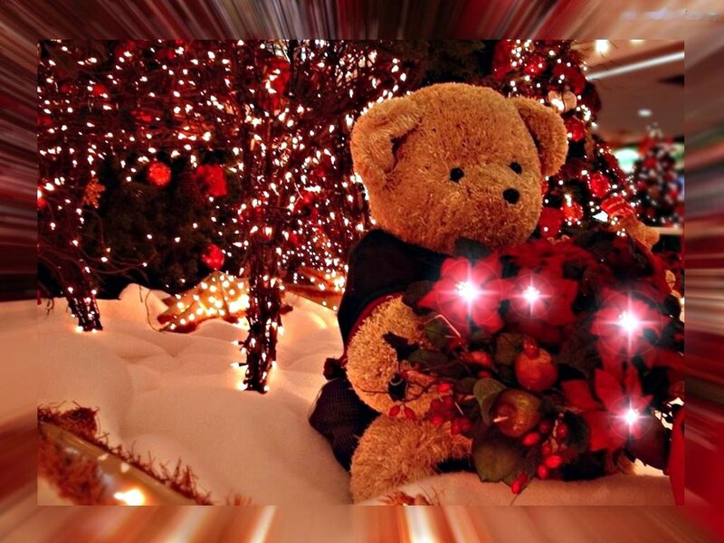 Teddy Bear with Flowers — Red