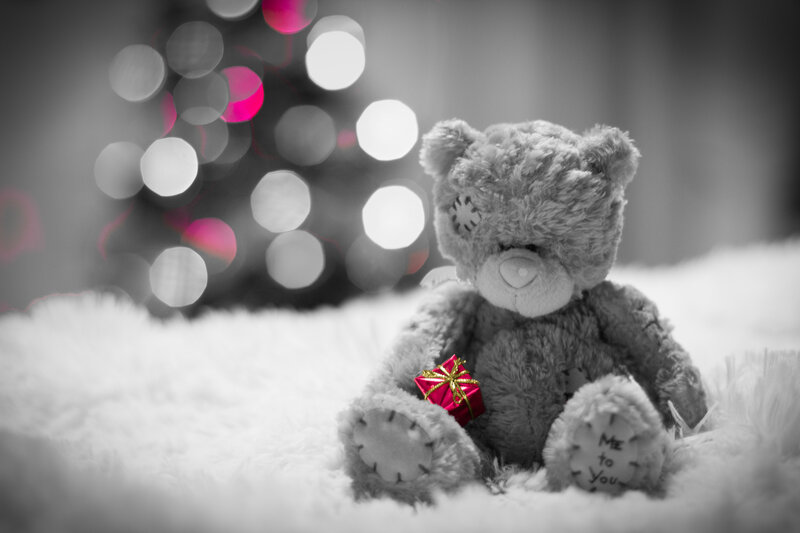 Teddy Bear with Gift — Black