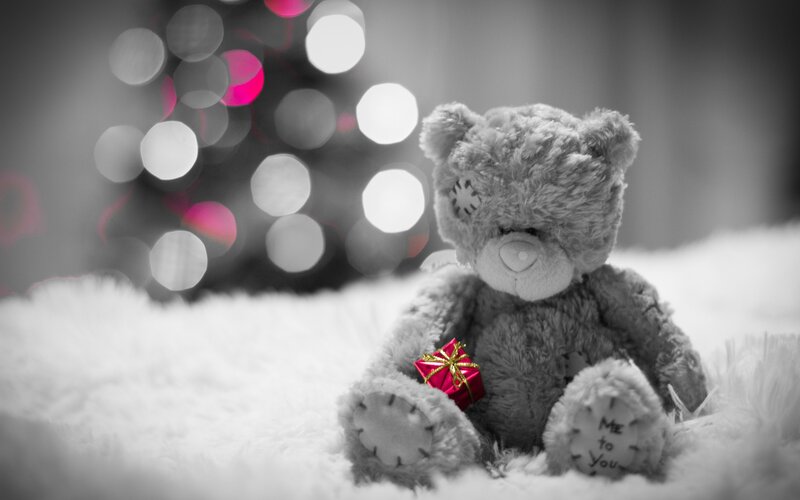 Teddy Bear with Gift — Gray, Sentimental
