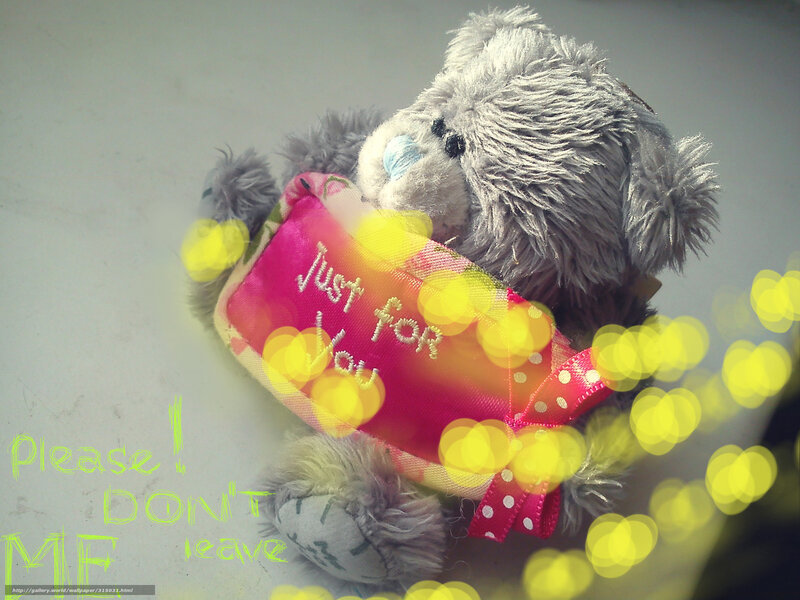 teddy bear with gift