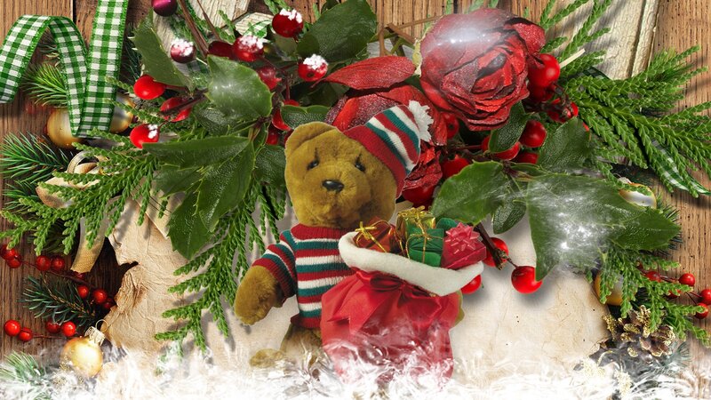 Teddy Bear with Gifts — Green