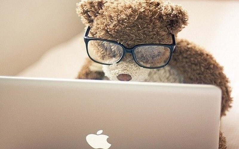 Teddy Bear with Glasses — Brown