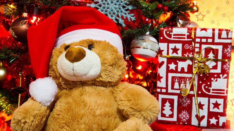 Teddy Bear with Hat — Red